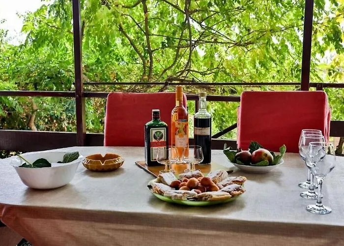 Vladimir Трогір