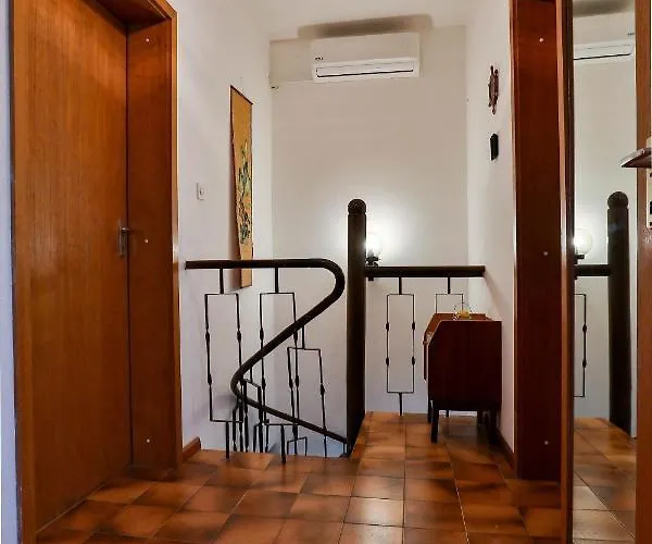 Vladimir * 特罗吉尔