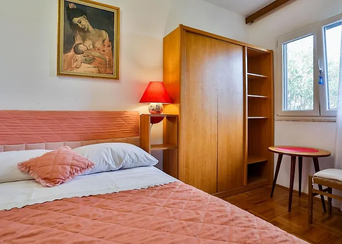 Vladimir 公寓 特罗吉尔